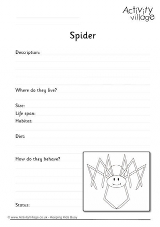 Spider Worksheet