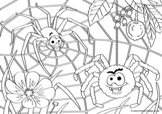 Spiders Scene Colouring Page