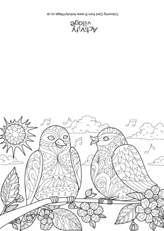 Spring Birds Doodle Colouring Card