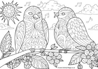 Spring Birds Doodle Colouring Page
