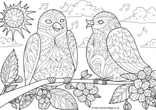 Spring Birds Doodle Colouring Page