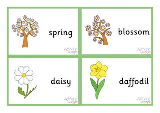 Spring Flashcards - Small