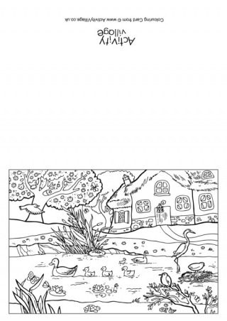 Spring Pond Colouring Card