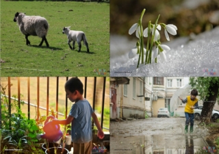 Spring Scene Posters
