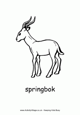 Springbok Colouring Page