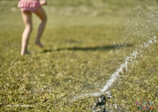 Sprinkler in the Garden Poster