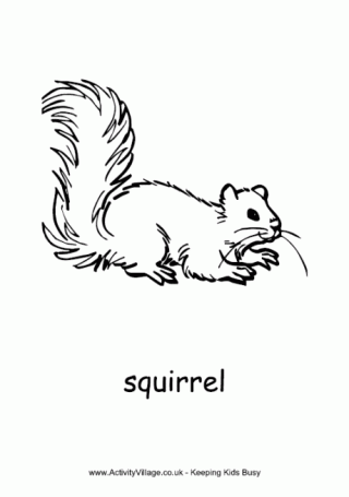Squirrel Colouring Page 3