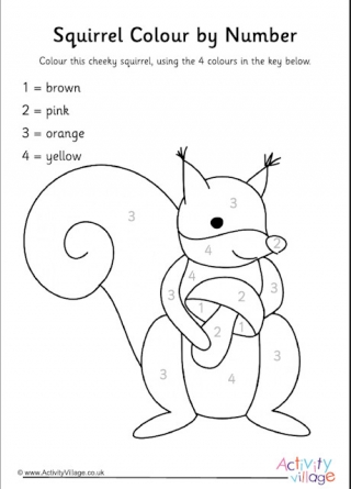 Squirrel colour by number