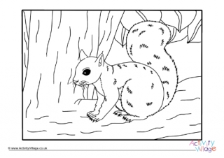 Squirrel Colouring Page 10