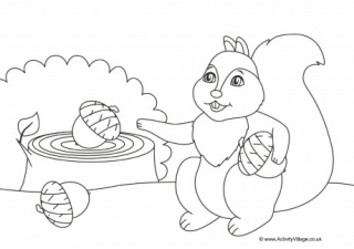 Squirrel Colouring Page 4