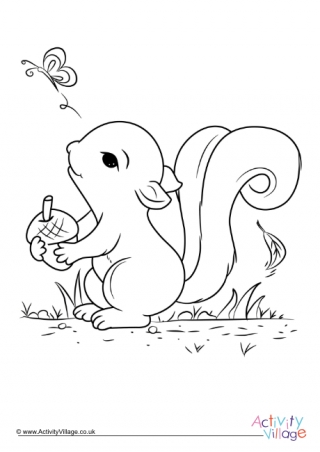 squirrel colouring pages