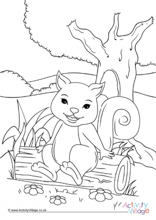 Squirrel Colouring Page 8