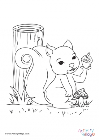 Squirrel Colouring Page 9