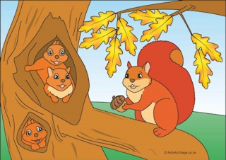 Squirrels Scene Poster