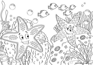 Starfish Scene Colouring Page