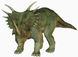 Styracosaurus Printables for Kids