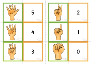 Subitising to Five Fingers Flashcards