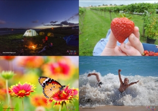 Summer Scene Posters