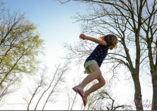 Summer Trampoline Poster