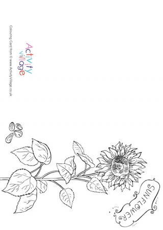 Sunflower Colouring Card
