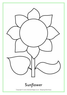 Sunflower Colouring Pages