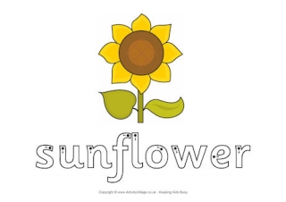 Sunflower Finger Tracing