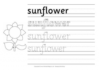 Sunflower Handwriting Worksheet