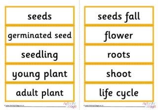 Sunflower Life Cycle Word Cards