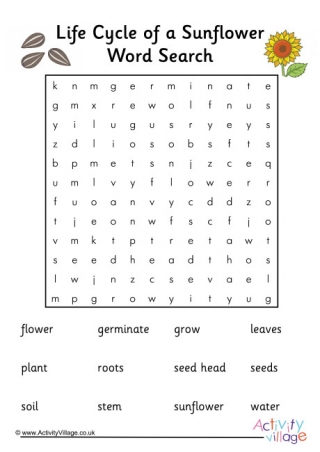 Sunflower Life Cycle Word Search