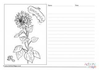Sunflower Story Paper 2
