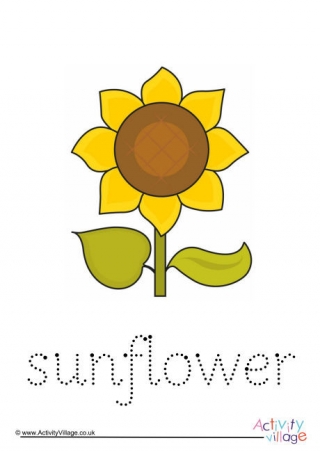 Sunflower Word Tracing