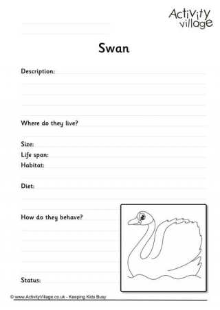 Swan Worksheet