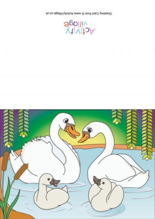 Swans Scene Card