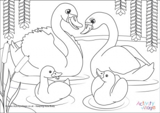 Swans Scene Colouring Page
