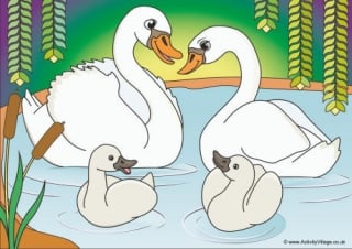 Swans Scene Poster