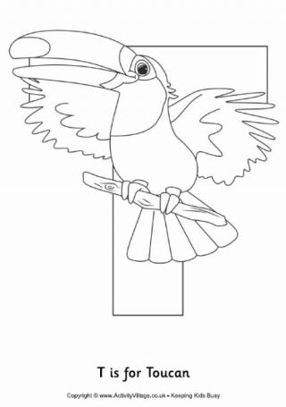 T is for Toucan Colouring Page