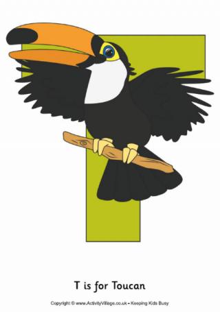T is for Toucan Poster