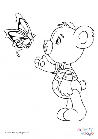 Teddy Bear And Butterfly Colouring Page