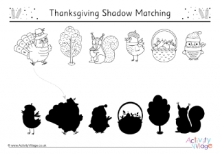 Thanksgiving Shadow Matching 1
