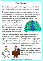 The Peacock