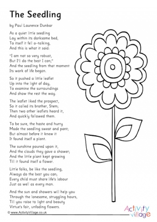 The Seedling