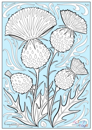 Thistle Colour Pop Colouring Page