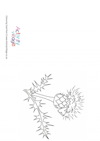 Thistle Colouring Card