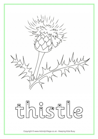 Thistle Finger Tracing