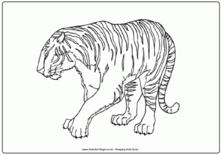 Tiger Colouring Page 3