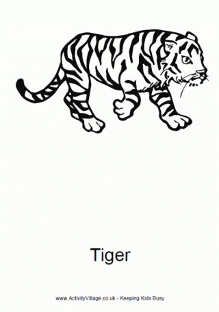 Tiger Colouring Page 4