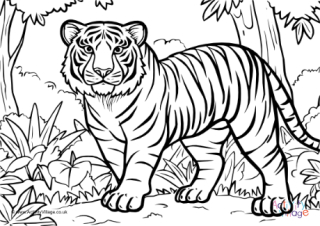Tiger Colouring Page 4