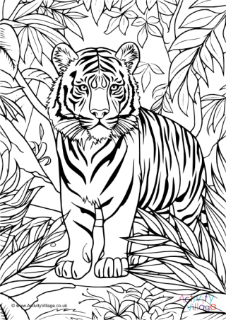 Tiger Colouring Page 5