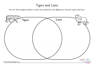 Tiger and Lion Venn Diagram Worksheet