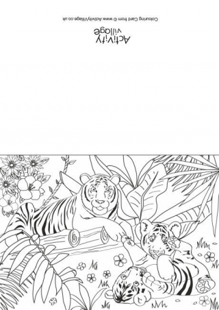 Tigers Colouring Card